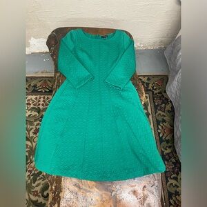 The Limited Green A-Line Dress